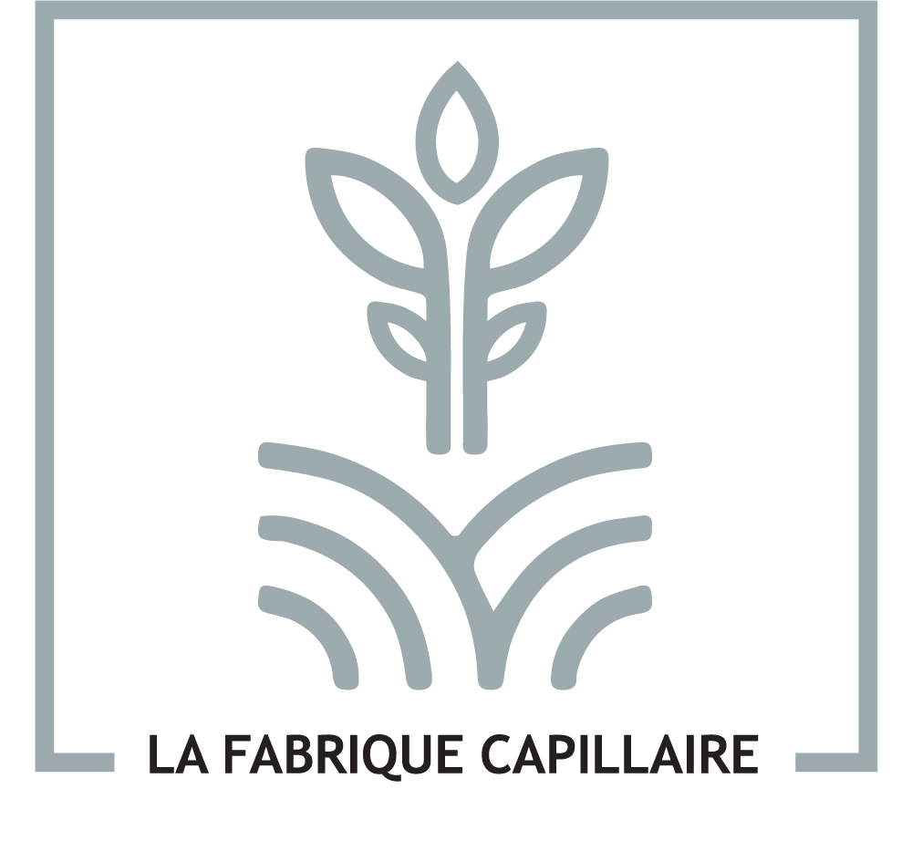 La Fabrique Capillaire